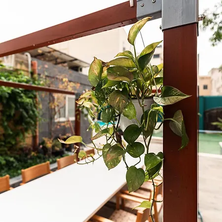 Pensionat 4 At Palazzo Seraphim Boutique Living In St Julians St. Julian's